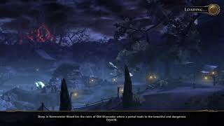 Questing with the new Neverwinter