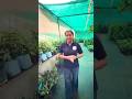 🏡 Shade Net House Explained in Short! #Shorts #ShadeNetHouse #PW #AgricultureWallah