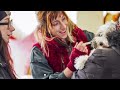 Pet ID Week