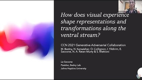 CCN 2021: How does visual experience shape representations and transformations along the ventral...