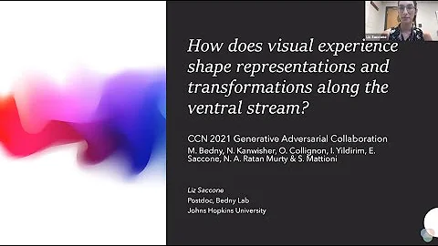 CCN 2021: How does visual experience shape representations and transformations along the ventral...
