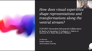 CCN 2021: How does visual experience shape representations and transformations along the ventral... screenshot 2