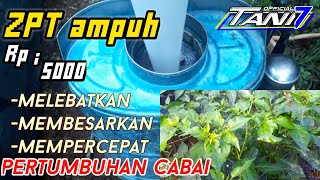 BIKIN HEBOH PARA PETANI ! ZPT ampuh untuk merimbunkan, melebatkan dan mempercepat pertumbuhan cabe