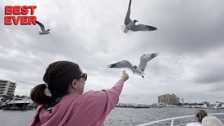 We Found Paradise in Destin Florida and You NEED To See This!