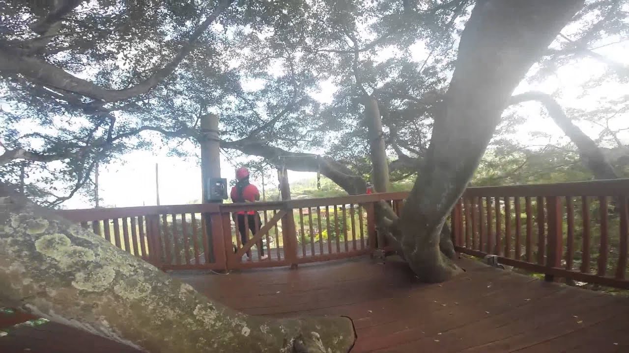 bayview zipline YouTube