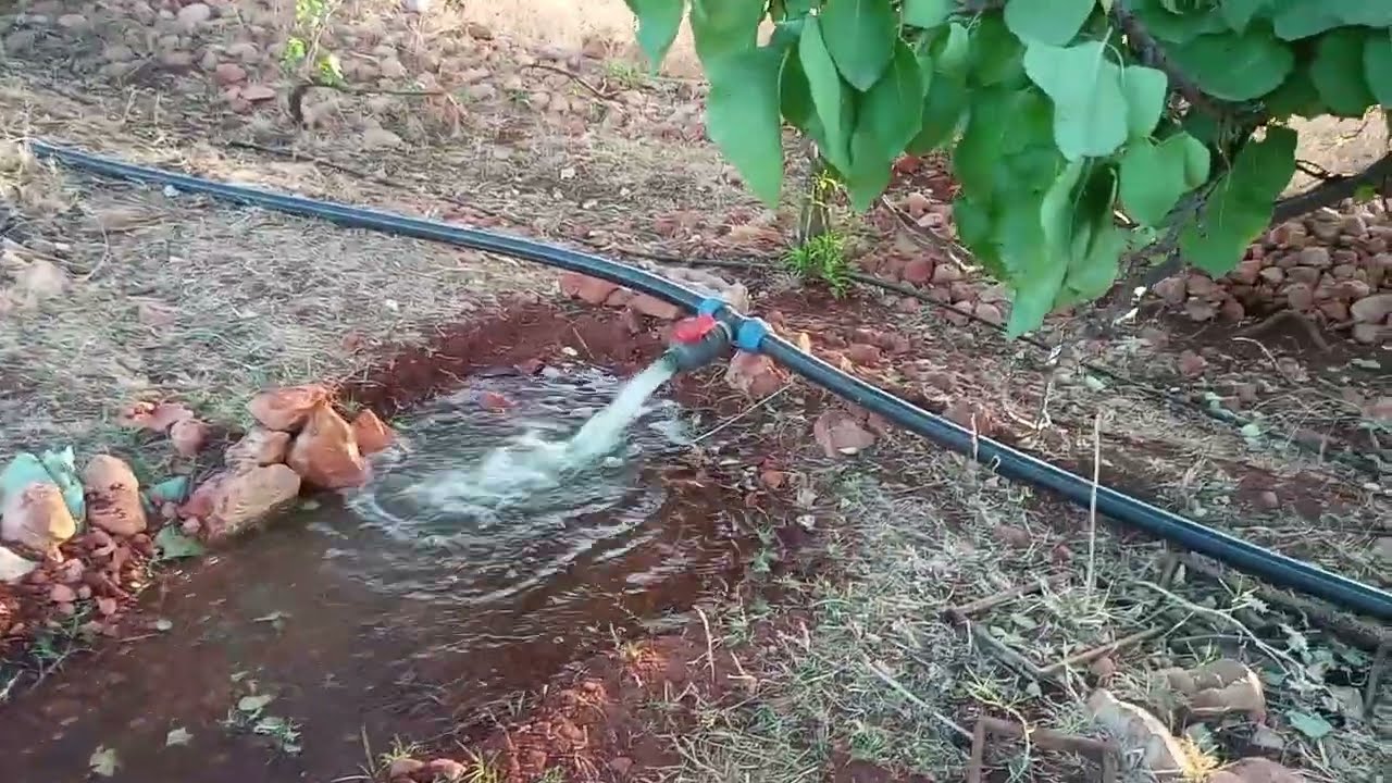 الله يكون في عون المناطق الفلاحية لما فيهاش ماء السقي في هذ الحرارة 