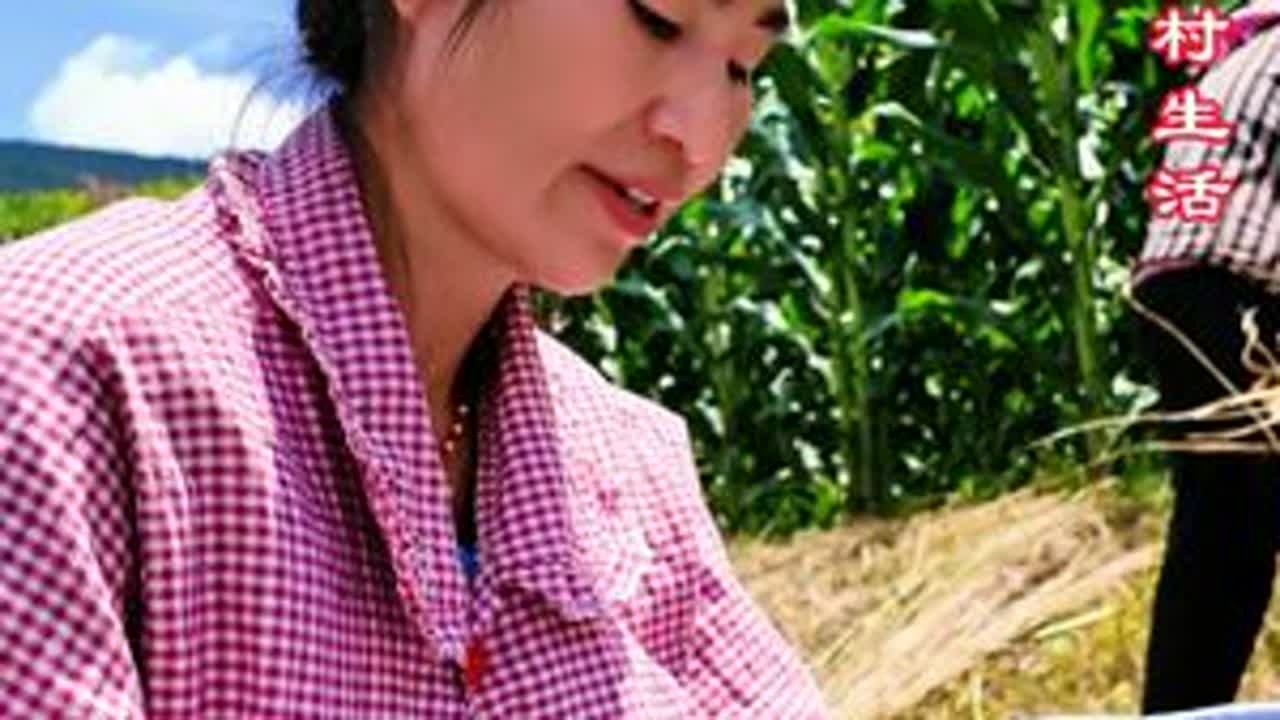 备草料…你们是怎么备草料的…记录花孃孃的乡村生活… 田园生活、农村生活、抖音记录我的日常生活、山里人家、大山里的生活、乡村振兴、服务三农支持三农、中国马犬、农村生活现实记、人间烟火、记录美好生活...