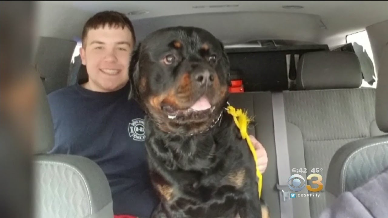 First Responders Save 2 People, Dog From Icy Pond In Delaware - YouTube