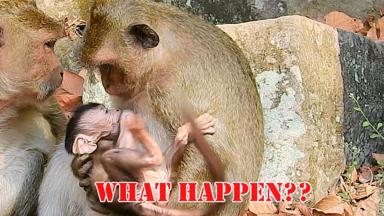 OMG!what Happen Baby Delena Not Happy & Need Mom DeeDee Take Care