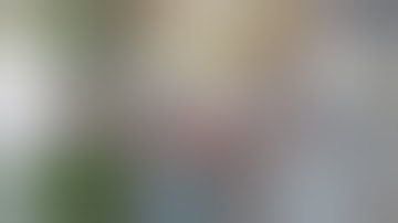 Hài Tin Việt 2024 Mới Nhất || Những Tình Huống Ngu Nhất Hành Tinh Cười Vỡ Bụng Phần 144.