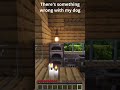 There's something wrong with my dog #minecraft #funny