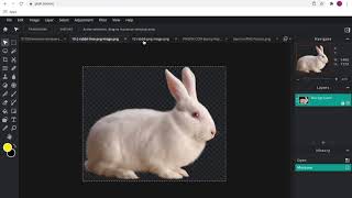 *HOW I CREATE FOREST WINDOW PICTURE USING PIXLR E ONLINE ADVANCED PHOTO EDITOR? PART 2*