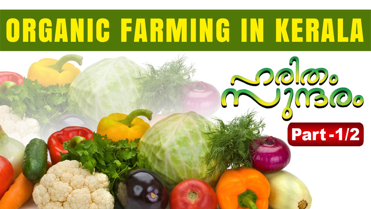 case study of organic farming in kerala