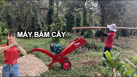 máy băm cành cây di động takyo tk65, băm cành lá động cơ xăng 7hp, video băm cành tràm