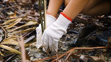 Can IoT technologies help to mitigate climate change?