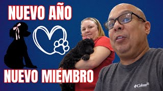 Año nuevo, Miembro nuevo / RvLife / Puppy by Latinos en RV 226 views 3 months ago 10 minutes, 58 seconds