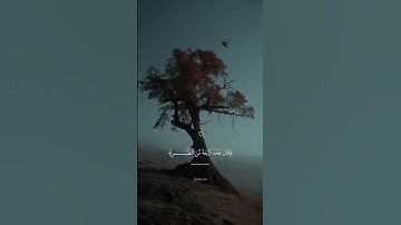 جزء 1 | تلاوه جميله ل القارئ الصغير عبدالله احمد شعبان 🤍🍃     #quran  #القرآن