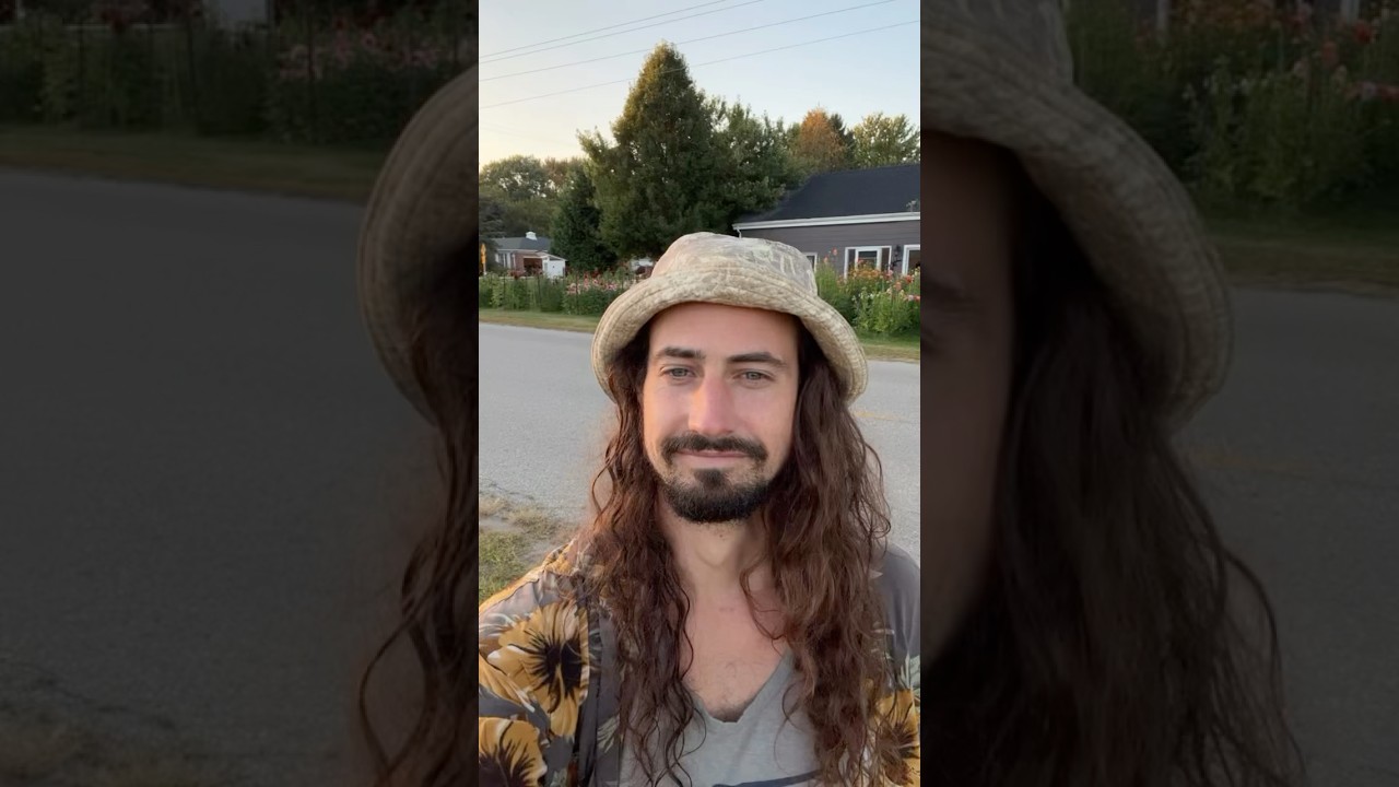 Quick walk around the dahlia patch