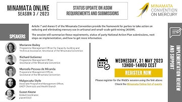 Minamata Online: Status update on ASGM requirements and submissions (31 May)