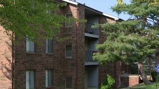 4-year-old girl hospitalized after shooting at Detroit park, police say