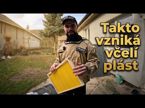 Rámiky sú základ | Ako ich správne zostaviť 🐝🍯