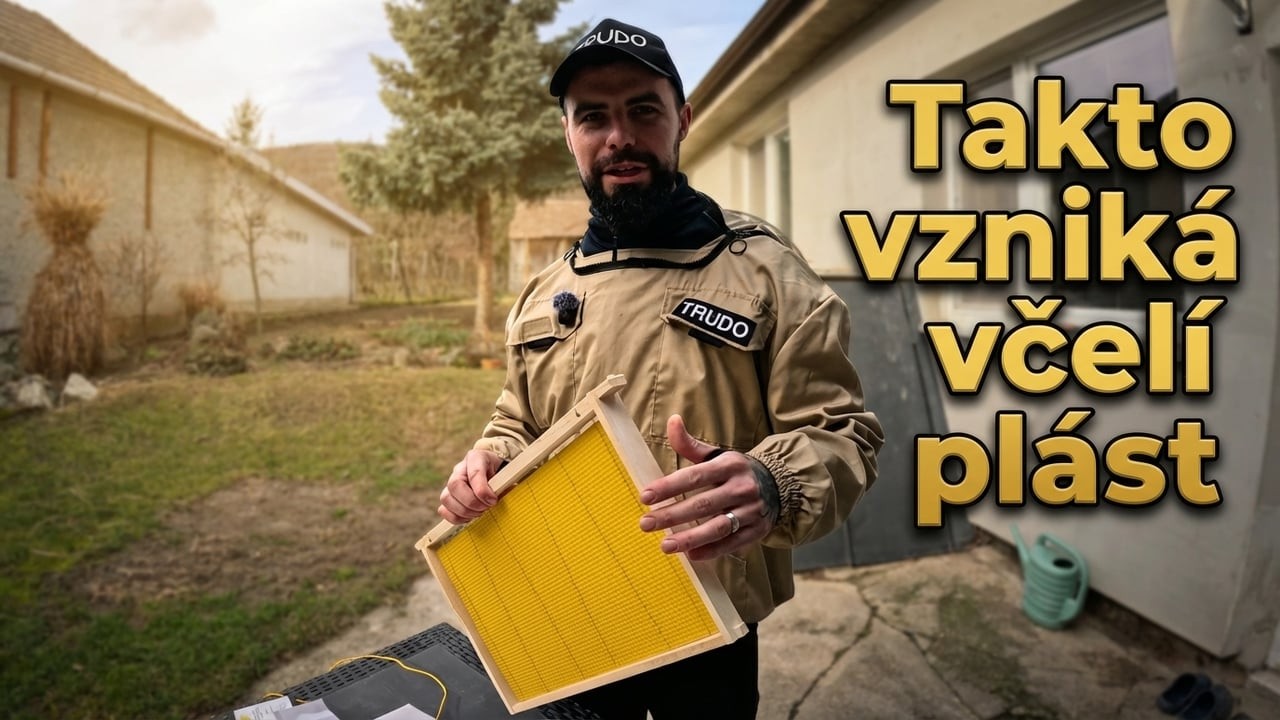 Rámiky sú základ | Ako ich správne zostaviť 🐝🍯