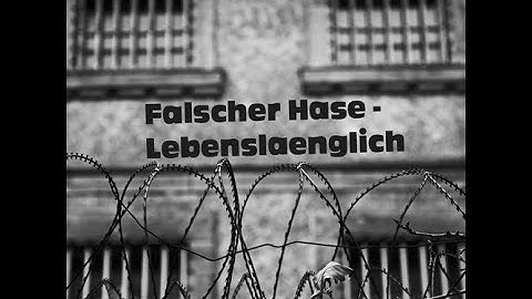 Falscher Hase - Lebenslänglich (Dezember 2011)