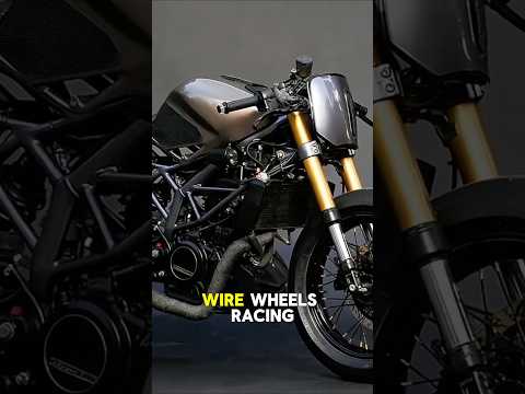 KTM Duke Short ANIMAL