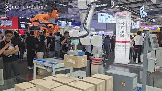 Elite Robots CP Series Palletizing Solution | Solução de Paletização Modular Turnkey