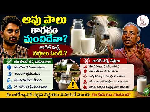 Is Drinking Cow Milk Good for You? "What Are the Disadvantages of Drinking It.?" | Eagle Media Works