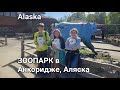 Аляска.🫎 Анкоридж.🐻 Пикник в ЗООПАРКЕ!!! 🦊ZOO Anchorage!🐰