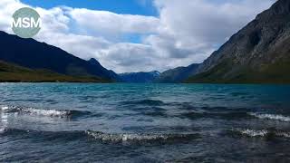 PEACEFUL, RELAXING RIVER SOUNDS WITH BIRD SONGS!  Ambient music with nature sounds to calm down! screenshot 1