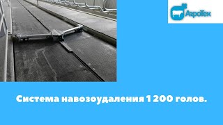 Система навозоудаления 1 200 голов.