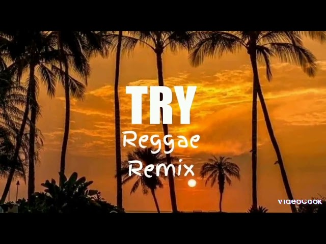 🌴Reggae slow🌴-Pink -TRY Remix 2023 class=