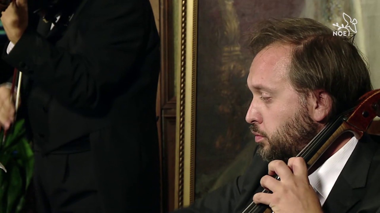 Joseph Haydn ,Duett for violin and cello