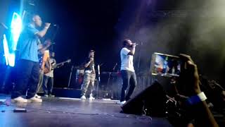 Mangi New Ireland Jayrex Live(2)
