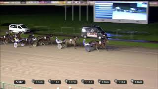 Vidéo de la course PMU PRIX DE GELE KANARIES - CHAMPION 2024 (MERWESTAAL TALENT CHALLENGE)