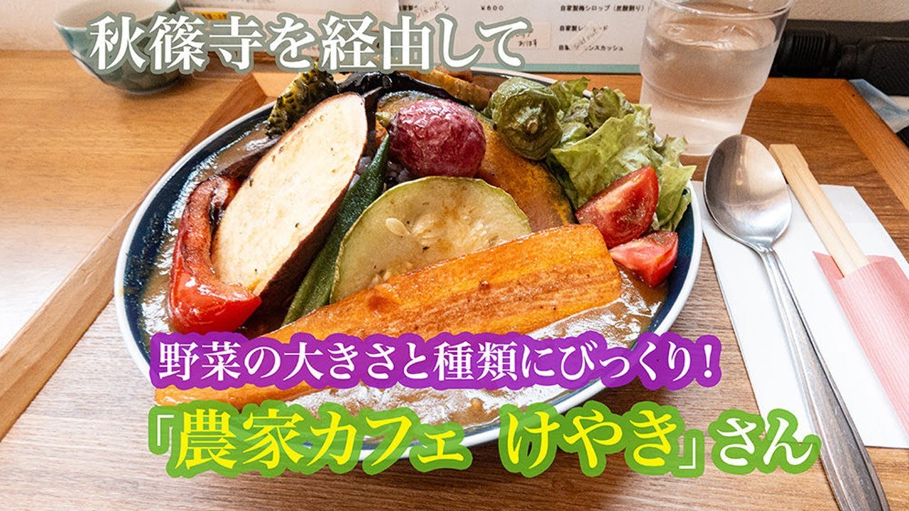 Nara Temple & Cafe】驚愕の野菜たち！天理市「農家カフェけやき」さん 