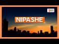 NIPASHE APRIL 1ST 2026 