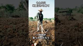 20240128日本人の信じられない習慣３選_0127