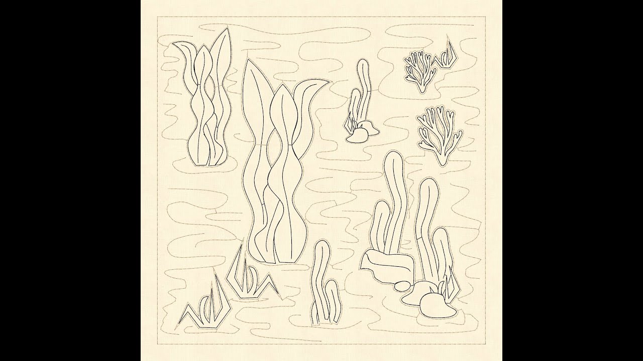 Ocean Friends Seaweed 2