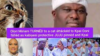 видео: Олори Мириам, ПРЕВРАТИВШАЯСЬ в кошку, напала на Уни, когда защитный шкафчик JUJU прижал ее к земле. картинка: Олори Мириам, ПРЕВРАТИВШАЯСЬ в кошку, напала на Уни, когда защитный шкафчик JUJU прижал ее к земле.