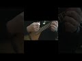 Mandolin Lesson. Where To Strum The Mandolin. Beginners. Blackpool Music School. #youtubeshorts