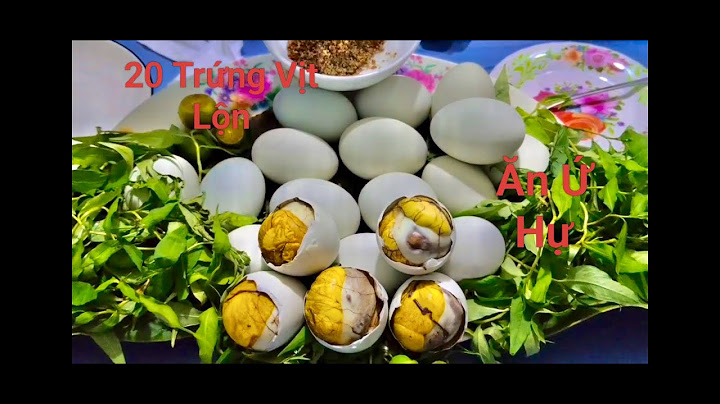Mukbang Hột Vịt Lộn Món Ăn "Thần Thánh"Của Người Việt