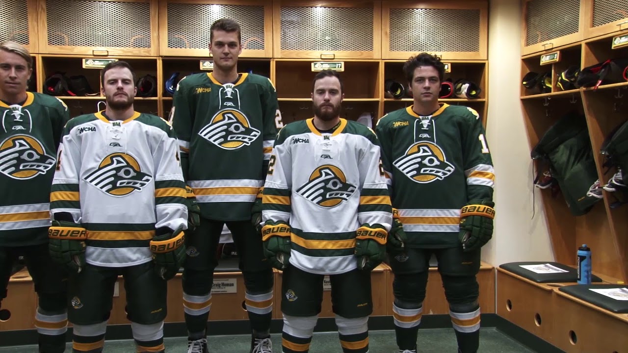 uaa hockey jersey