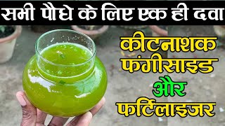 सभी पौधे के लिए एक ही दवा बनाएं जो फंगीसाइड कीटनाशक और खाद का काम करें | Benefits Of Aloe Vera Plant