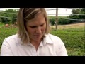 Globo Rural Conheça o cedro australiano, cultivado para prod