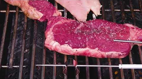 ThermoPro TP17 Digital Meat Thermometer Cooking Grill BBQ Thermometer with Dual Food Temperature Pro