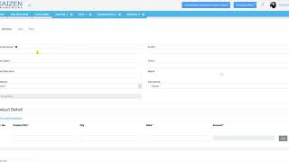 Developer and Client Remarks. Kaizen Framework.