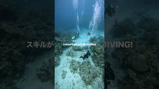 【8日後にダイビングのインストラクター試験を受けるただのダイバー〜リフレッシュダイビング〜】